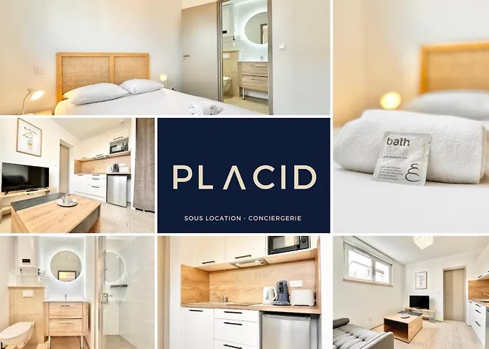 Le Concorde - Lumineux - Neuf Lejlighed